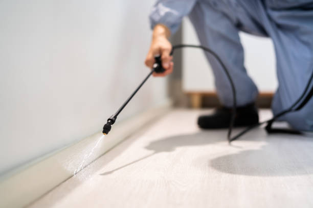 Licensed Rodent Control service in DeSoto County County, FL - Nex Pest Control
